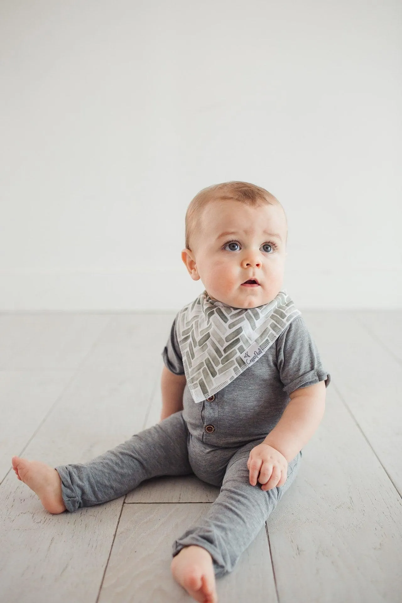 Baby Bandana Bibs - Alta