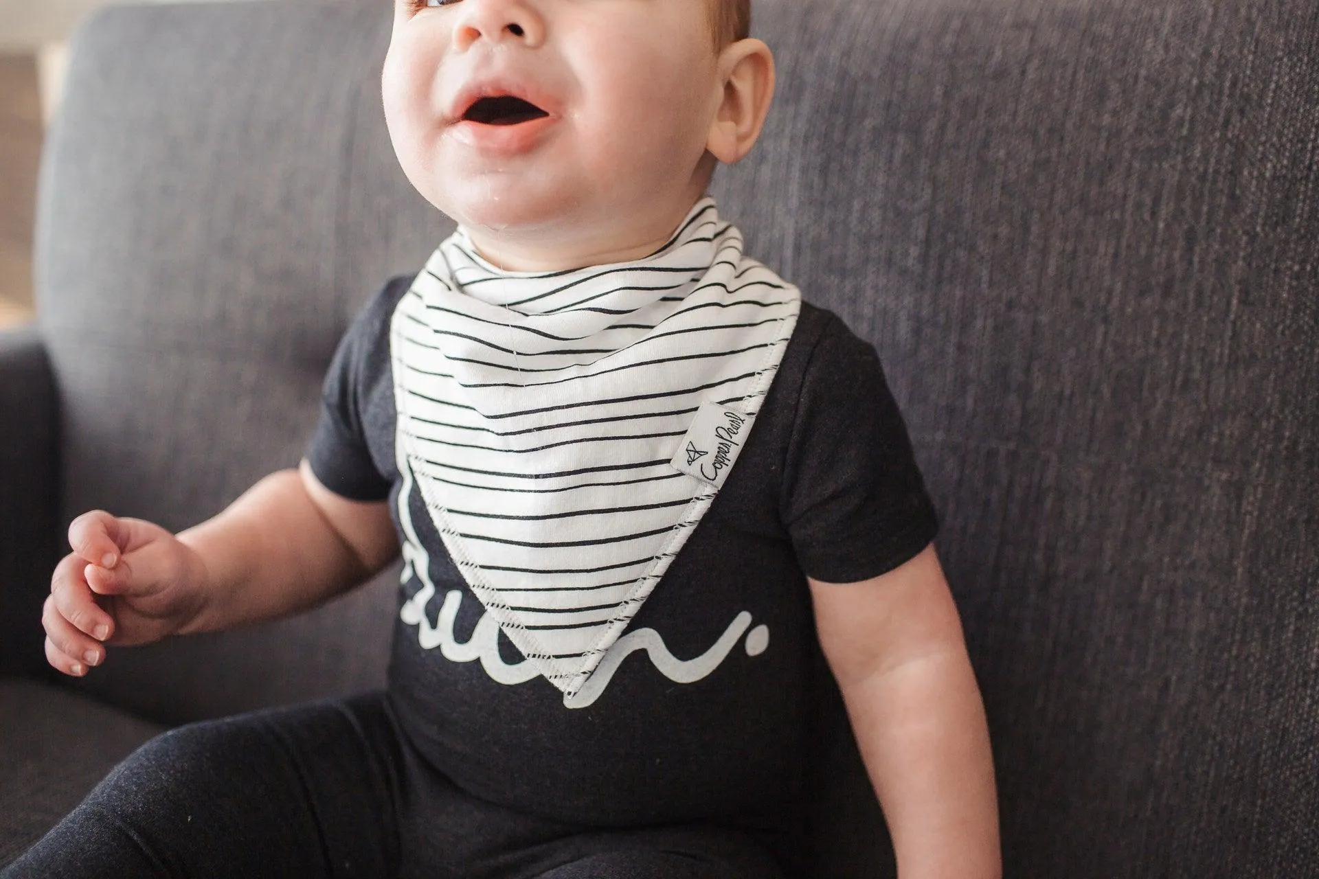 Baby Bandana Bibs - Alta