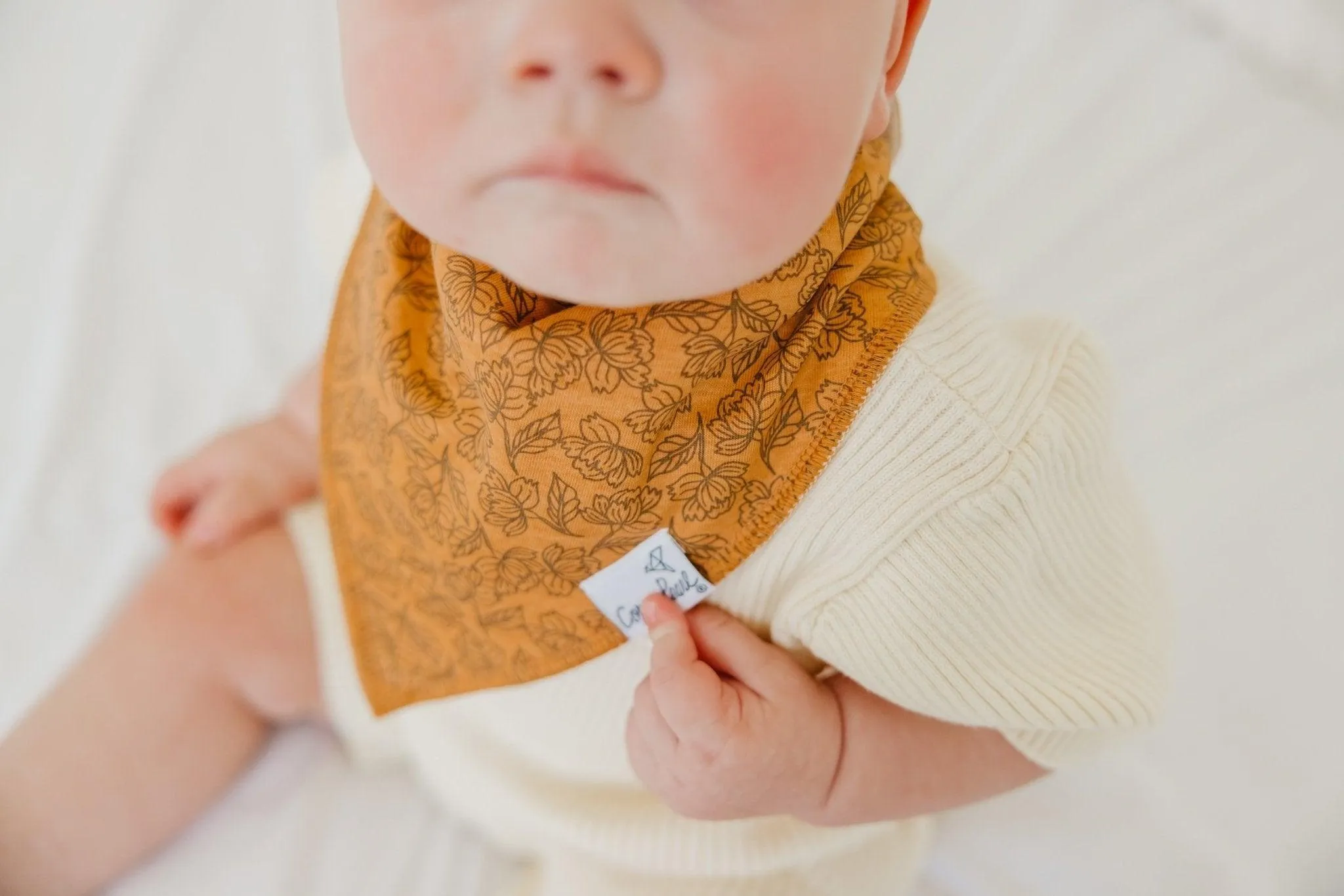 Baby Bandana Bibs - Eden