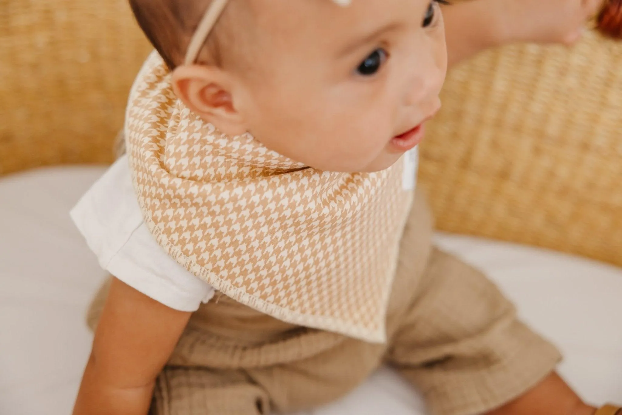 Baby Bandana Bibs - Eden